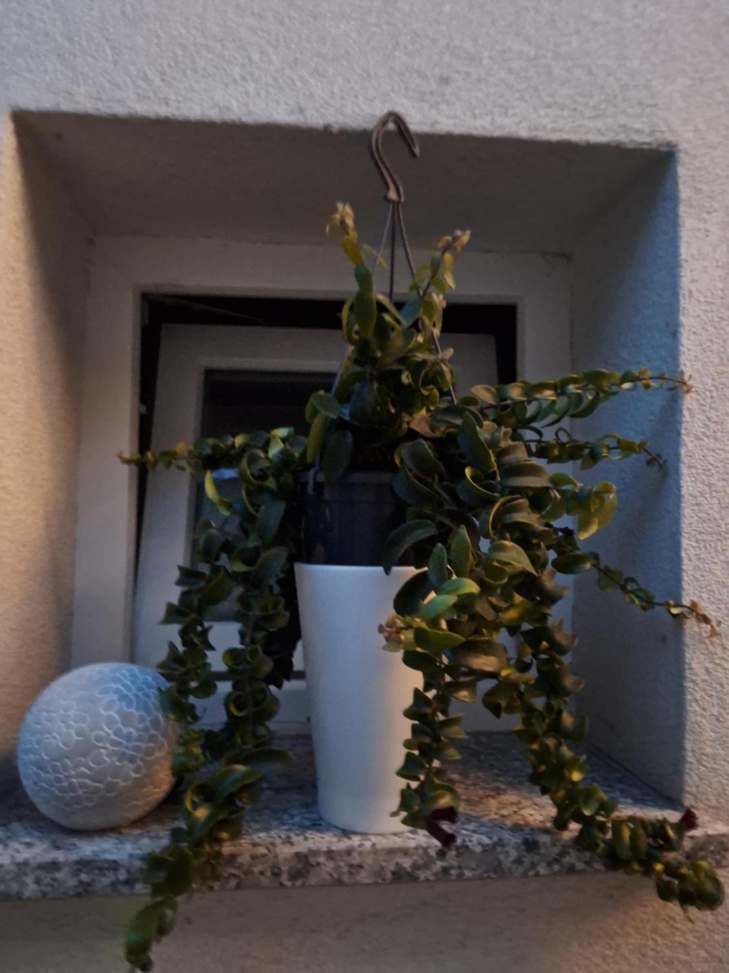 Studio Apartmani Louis I Lola Záhřeb Exteriér fotografie